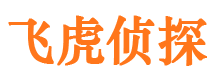 集美市调查公司